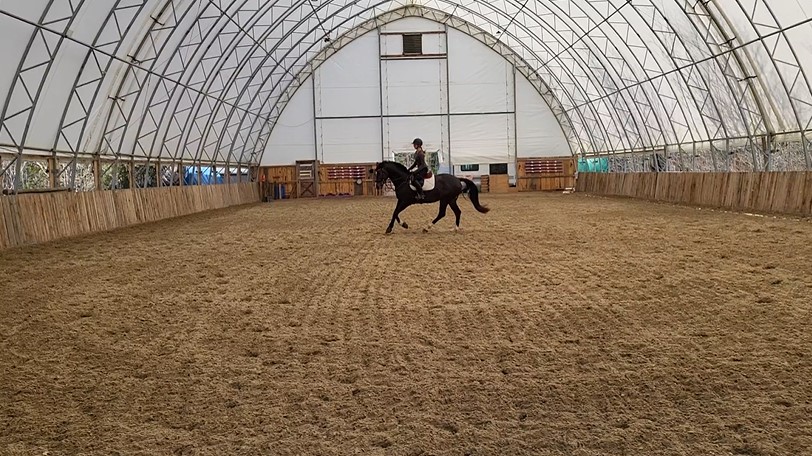 The Arena